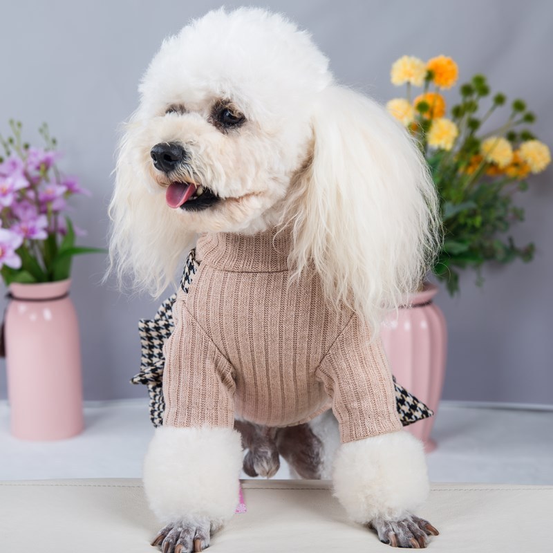 春夏の新ペットドレスカップルセットテディシーズー犬小型犬プリンセスストラップドレスペット服|undefined