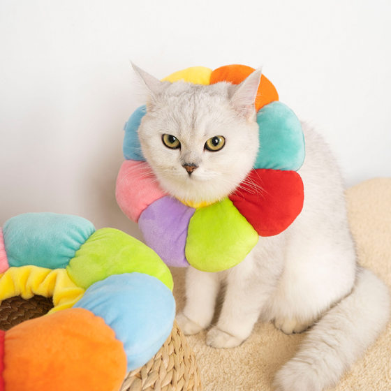 New Sunflower Elizabeth Ring Soft Cute Dog Pet Cotton Headgear Cat Elizabeth Ring Anti-Lick Neck Cat Collar