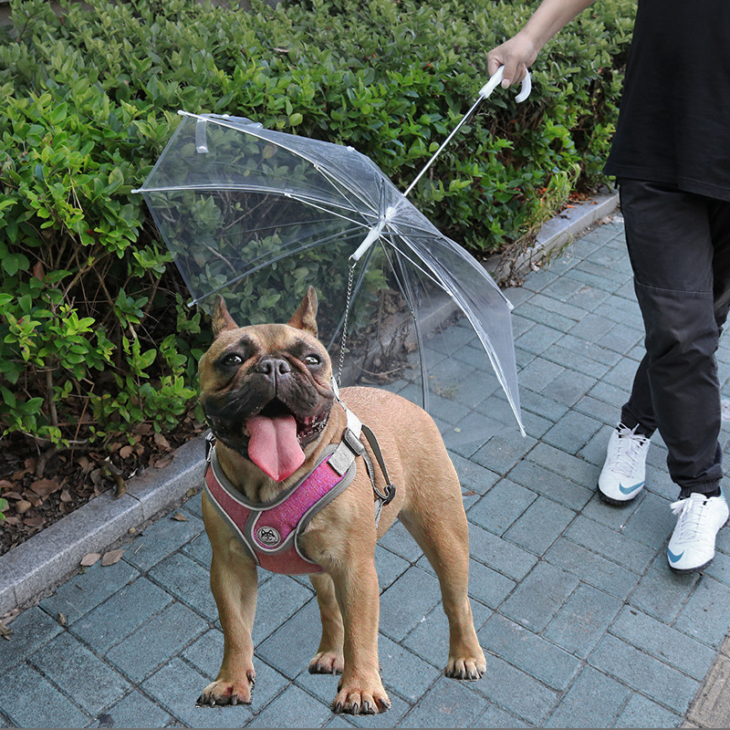 Dog Umbrella Pet Umbrella Teddy Pomeranian Small Dog Puppy Pet Raincoat Raincoat Supplies With Dog Chain 