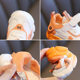 2024 spring and autumn children's sports shoes new boys and girls small white shoes soft bottom baby shoes children's toddler shoes