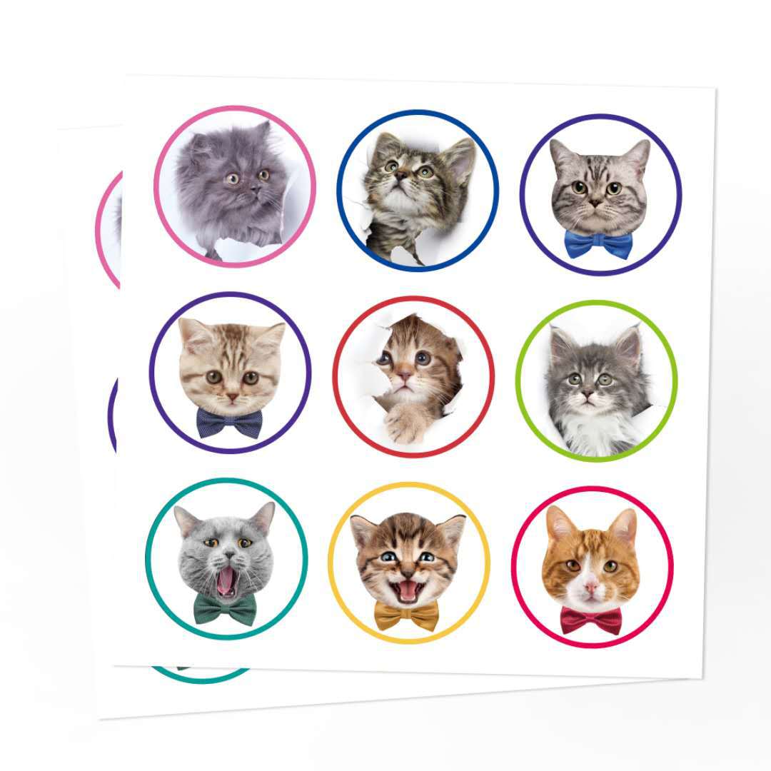 LB050 Amazon wish pet cute pet kitten gift candy party Kraft paper packaging paper bag