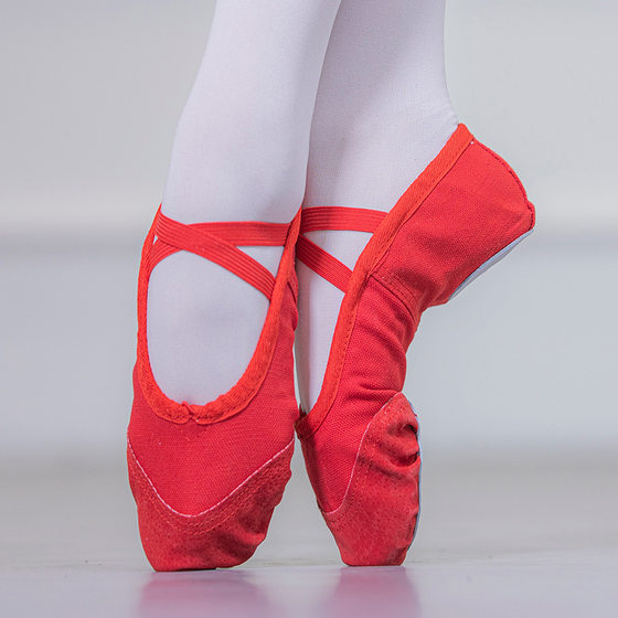 Leather Dance Shoes Adult Men's and Women's Body Ballet Soft Bottom Yoga Cat Claw Shoes Children's Dance Test