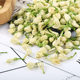 Factory wholesale Guangxi Hengxian jasmine dried bulk 500g new jasmine tea edible jasmine dried