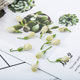 Factory wholesale Guangxi Hengxian jasmine dried bulk 500g new jasmine tea edible jasmine dried