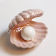 Pink shell