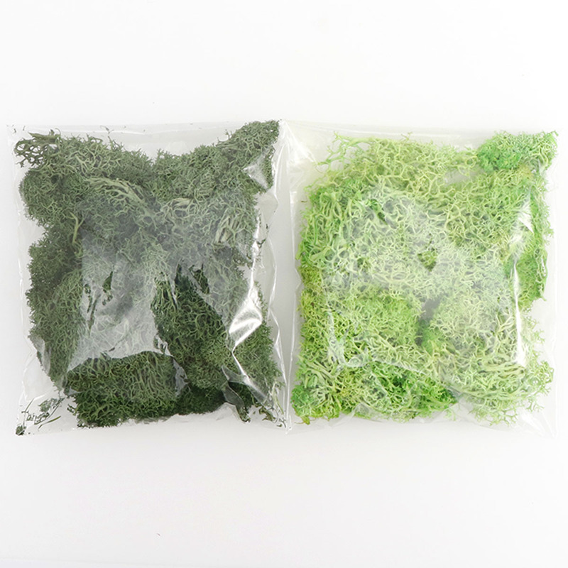 永生コケカラーコケ微景観diy装飾緑植多色オプション装飾鹿角コケ|undefined