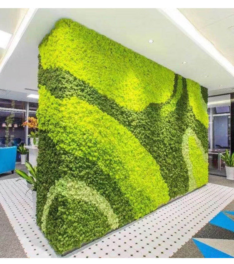 永生苔藓假苔藓植物墙造景装饰手工制作配材花材人造苔藓仿真苔藓