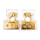 Pair of gold belt transparent cover