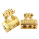 Gold without a pair of transparent cover