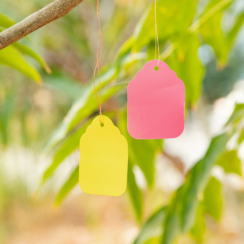 Cross-border wholesale gardening label plant tag fruit tree marker gardening flower marker plastic waterproof tag