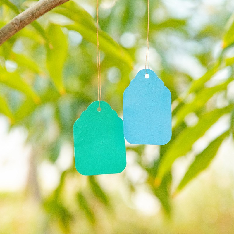 Cross-border wholesale gardening label plant tag fruit tree marker gardening flower marker plastic waterproof tag