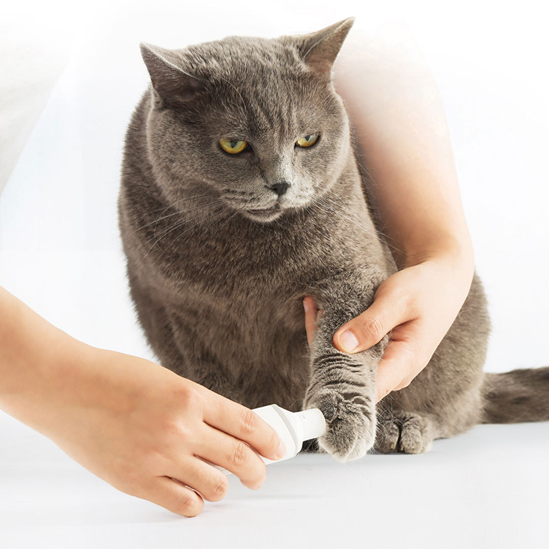 Pawbby Pet Electric Nail Grinder Cats Dog Nail Cutting Polishing Tongs Puppy with Artifact Grinding Claw Charging