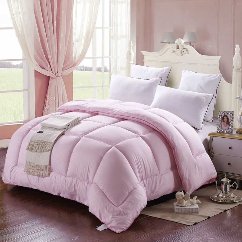 New spring and autumn quilt core thickened single double warm quilt autumn and winter quilt core manufacturers wholesale group purchase