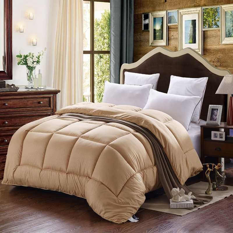 New spring and autumn quilt core thickened single double warm quilt autumn and winter quilt core manufacturers wholesale group purchase