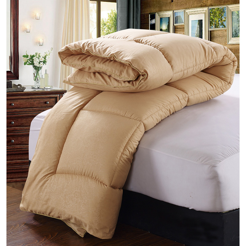 New spring and autumn quilt core thickened single double warm quilt autumn and winter quilt core manufacturers wholesale group purchase
