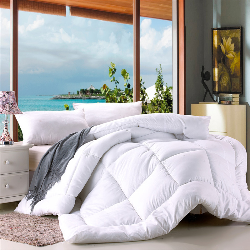 New spring and autumn quilt core thickened single double warm quilt autumn and winter quilt core manufacturers wholesale group purchase