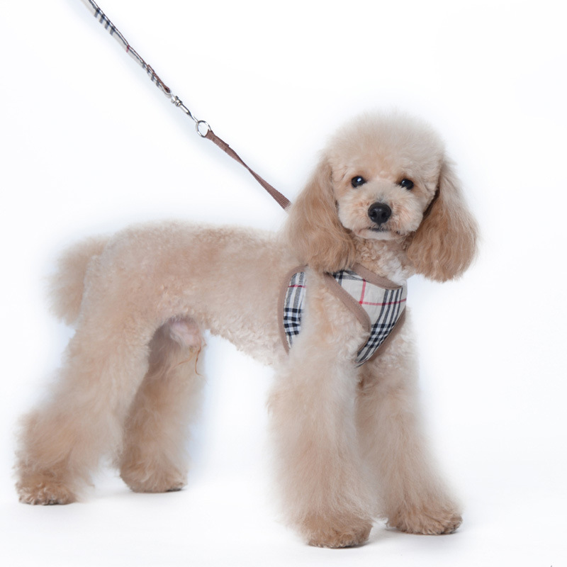 Pet Chest and Back Anti-Le Dog Traction Rope Set Dog Walking Rope Cat Adjustable Dog Chest and Back Factory Outlet