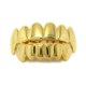 Golden Fangs (Set)