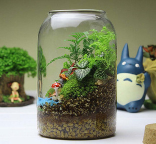 Large Micro Landscape Ecological Bottle Landscaping Glass Vase Hydroponic Plant Glass Bottle Fish Tank Ornaments Moss Bottle with Light