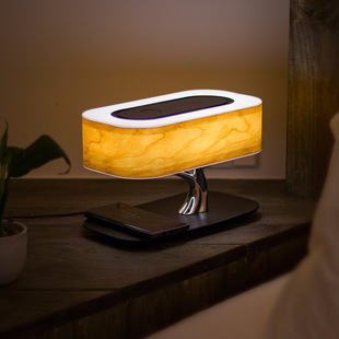 Factory bird tree light cloud audio Bluetooth speaker bedside lamp mobile phone wireless charge a generation of hair