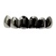Gun Black Flat Teeth (Upper Teeth)