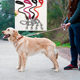 304 316 stainless steel dog chain head single head hook rotating sailing spring hook pet towing rope hook diving hook