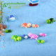 Moss micro landscape ecological bottle five color turtle doll dIY landscaping creative gift