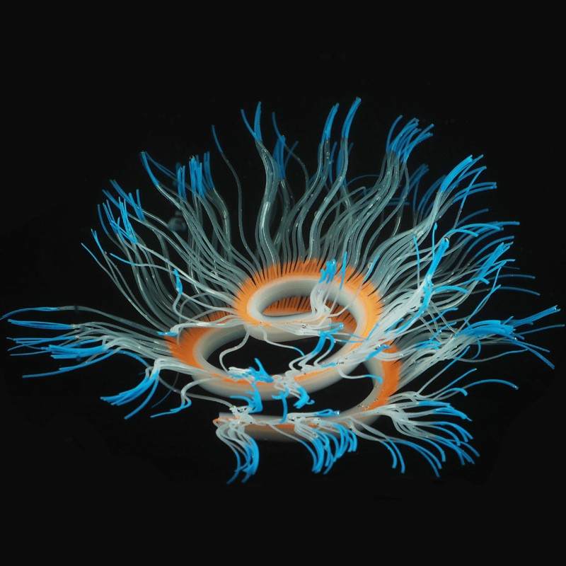 Supply cross-border e-commerce aquarium landscaping fish tank decorations silicone simulation software coral-variety anemone