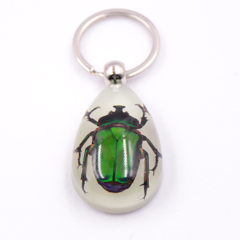 True insect specimen large Amber luminous insect keychain pendant jewelry scenic spot hot selling factory wholesale