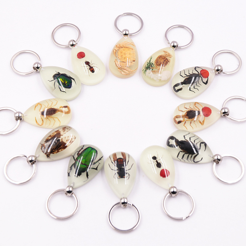 True insect specimen large Amber luminous insect keychain pendant jewelry scenic spot hot selling factory wholesale