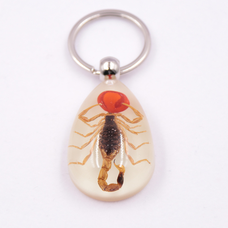 True insect specimen large Amber luminous insect keychain pendant jewelry scenic spot hot selling factory wholesale