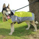 Pet it Casual Outdoor Dog Charge Clothes Waterproof Universal Pet Raincoat Large Dog Golden Retriever Amazon Dog Clothes
