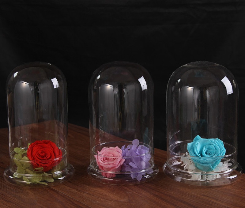 Valentine's Day Gift Eternal Flower Glass Cover Bell Cover Split Bottle Display Cover Fleshy Micro Landscape Glass Bottle