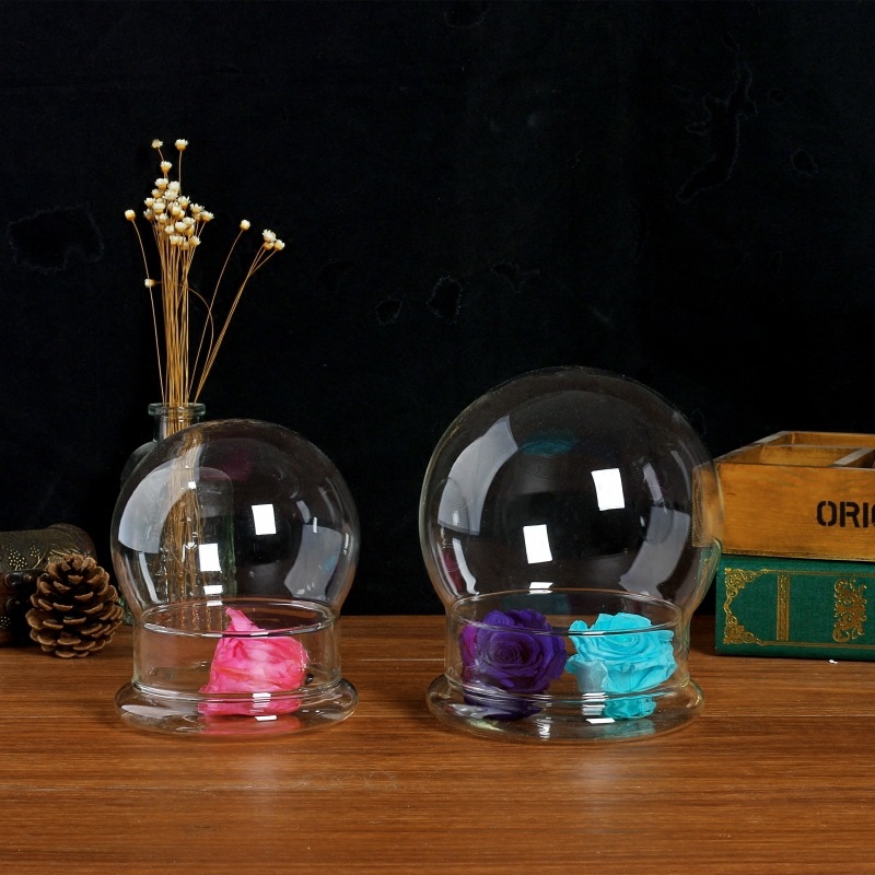 Valentine's Day Gift Eternal Flower Glass Cover Bell Cover Split Bottle Display Cover Fleshy Micro Landscape Glass Bottle
