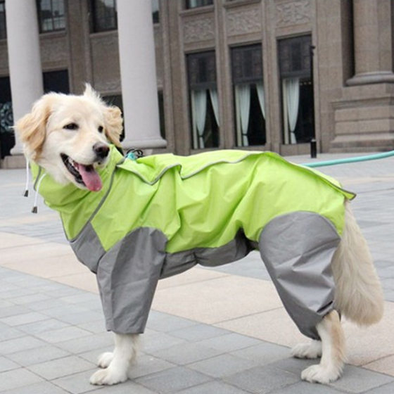 Pet raincoat medium and large dog golden retriever Samo Alaska waterproof four-legged raincoat dog hooded raincoat