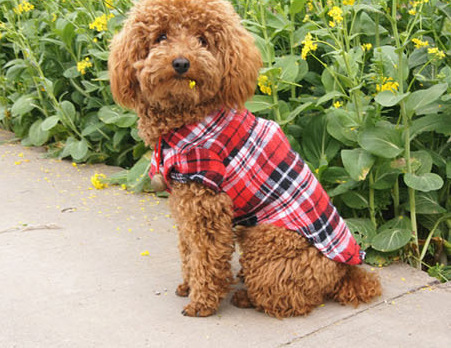 Pet Plaid Shirt Dog Clothes Summer Thin Breathable Puppy Clothing Bixie Small Dog T-Shirt Cat Clothes