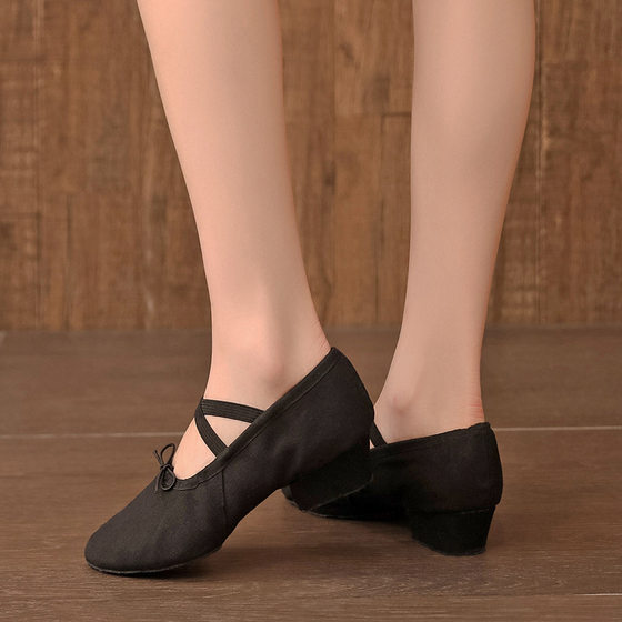 Dance Shoes with Heels Ballet Shoes Practice Shoes Soft Sole Shoes Teacher Shoes Hair Sole