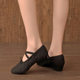 Dance Shoes with Heels Ballet Shoes Practice Shoes Soft Sole Shoes Teacher Shoes Hair Sole