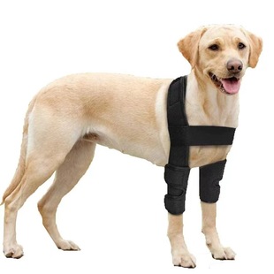 Spot Cross-border Pet Products Dog Knee Pad Dog Leg Pet Protector Dog Leg Pet Protector Dog Surgery Injury Protective Cover