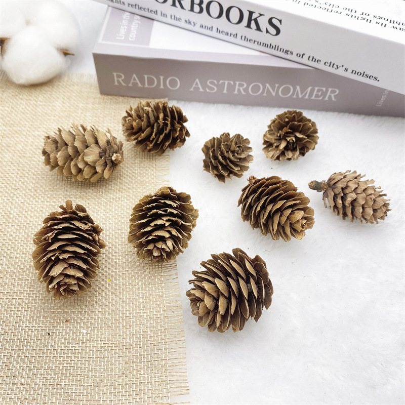 1-18cm pine cone Christmas decorations pendant Christmas tree pendant shooting props dry pine pine pine wholesale
