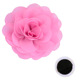 Dark pink