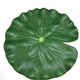 20cm lotus leaf