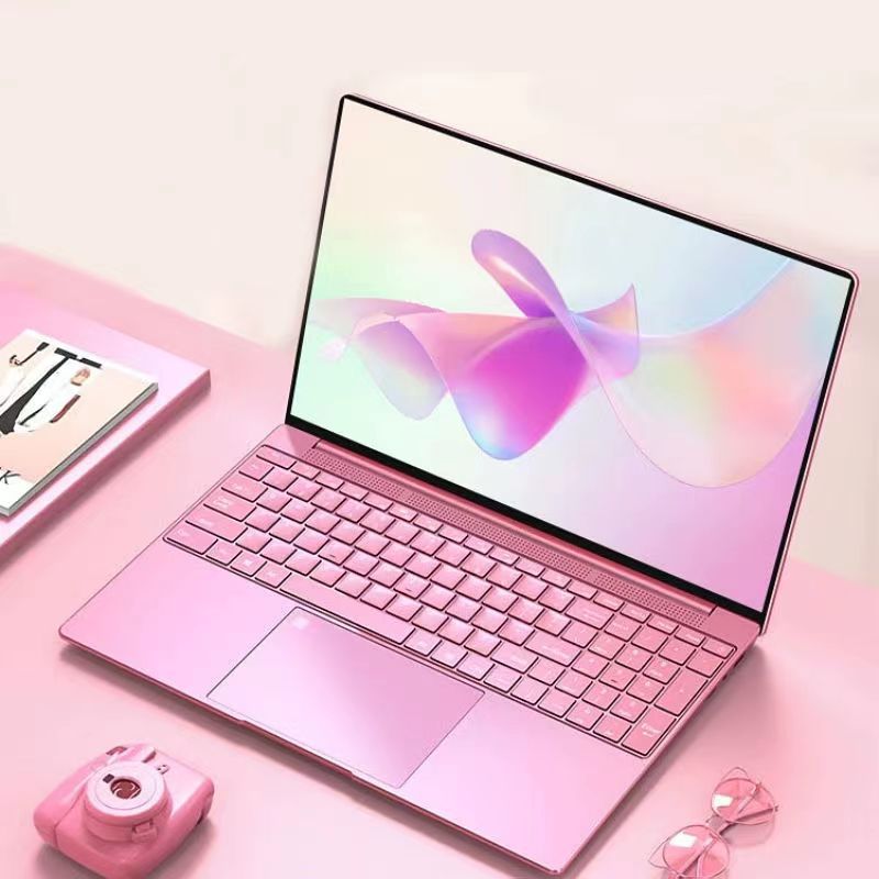 15.6 inch N5095 pink