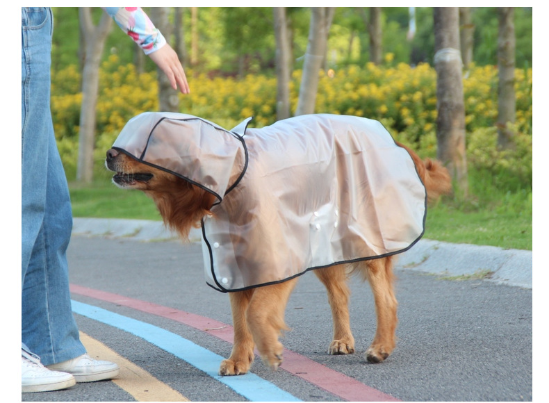 Dog Raincoat Image 18