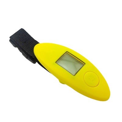Hengsaite outdoor portable electronic portable scale luggage scale Mini Portable Hook scale