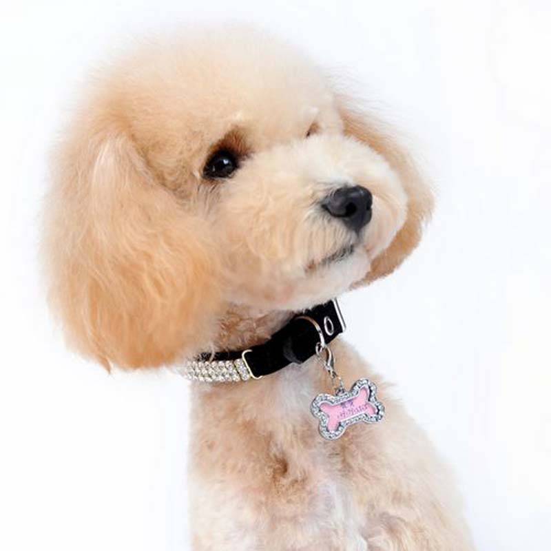 Explosions pet collar jewelry bone love card diamond-encrusted photo frame anti-loss information card handwritten diy cat and dog photos