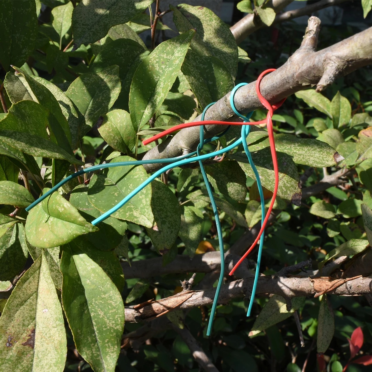 Iron Wire Tie Wire Electrical Accessories Bundle Iron Tie Line Branches Kiwi Garden Grape Tie