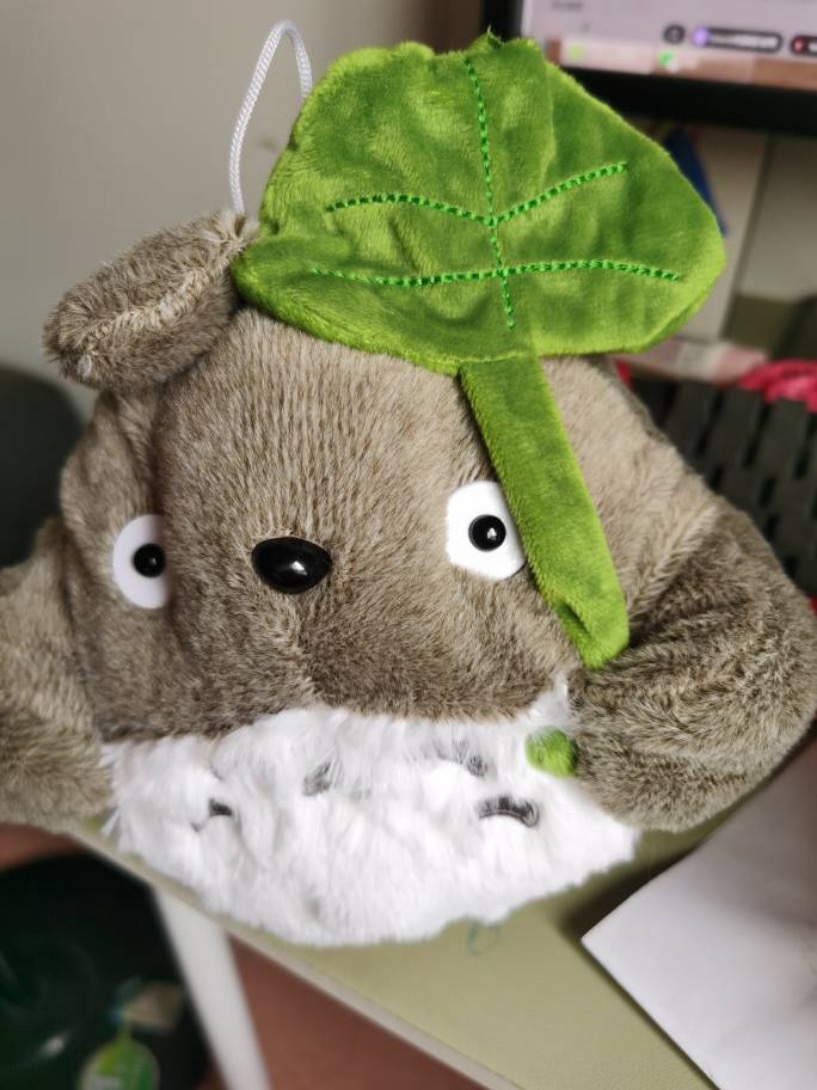 Totoro doll plush toy cute Ragdoll children doll pillow girl birthday gift Totoro small pendant
