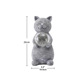 Gray kitten holding crack ball