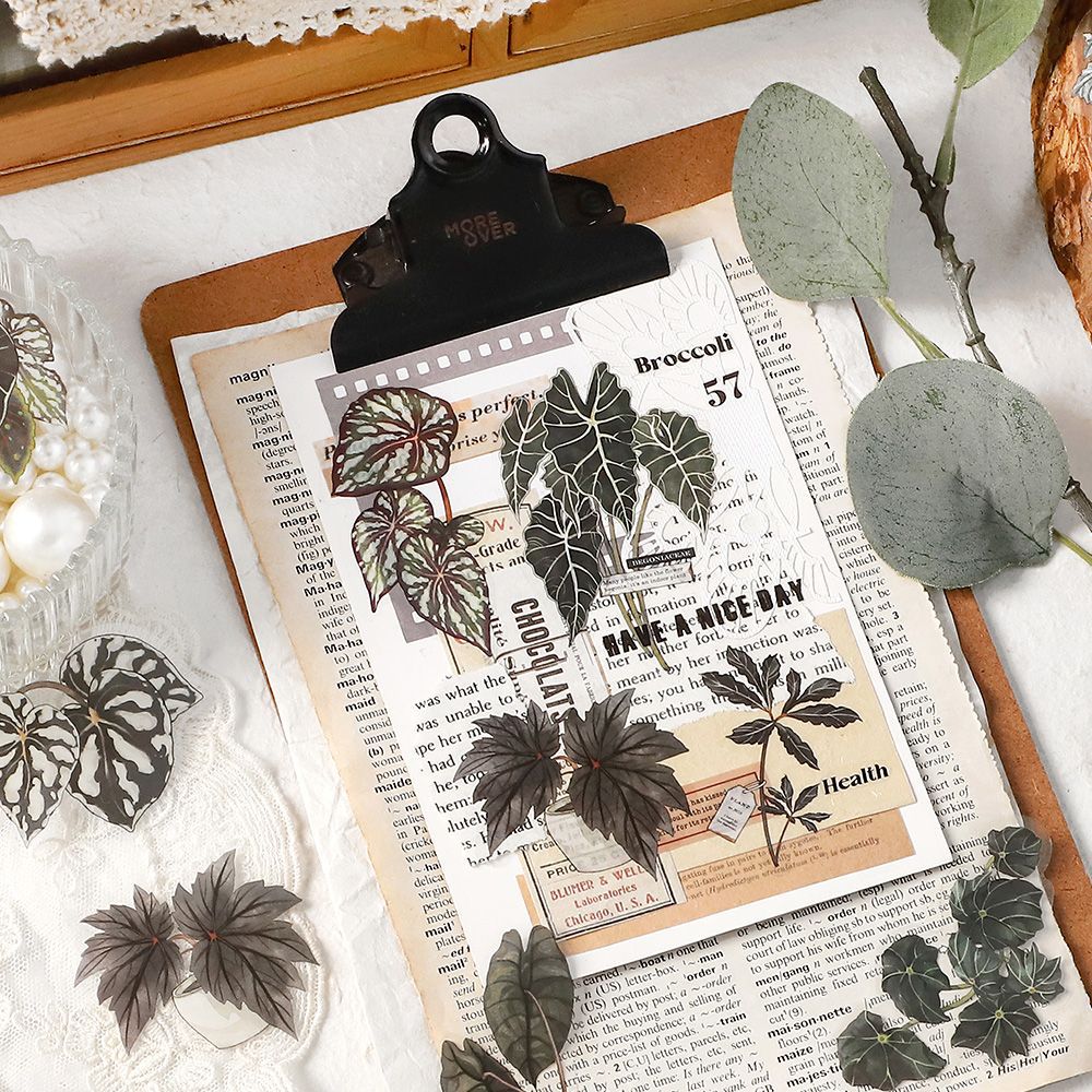 infeelmePET stickers package Green Plant Research Institute series plant hand account DIY material decorative stickers 30 pieces
